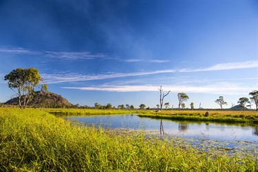 Rural_Creek___Hedlow_or_Lake_Mary.jpg